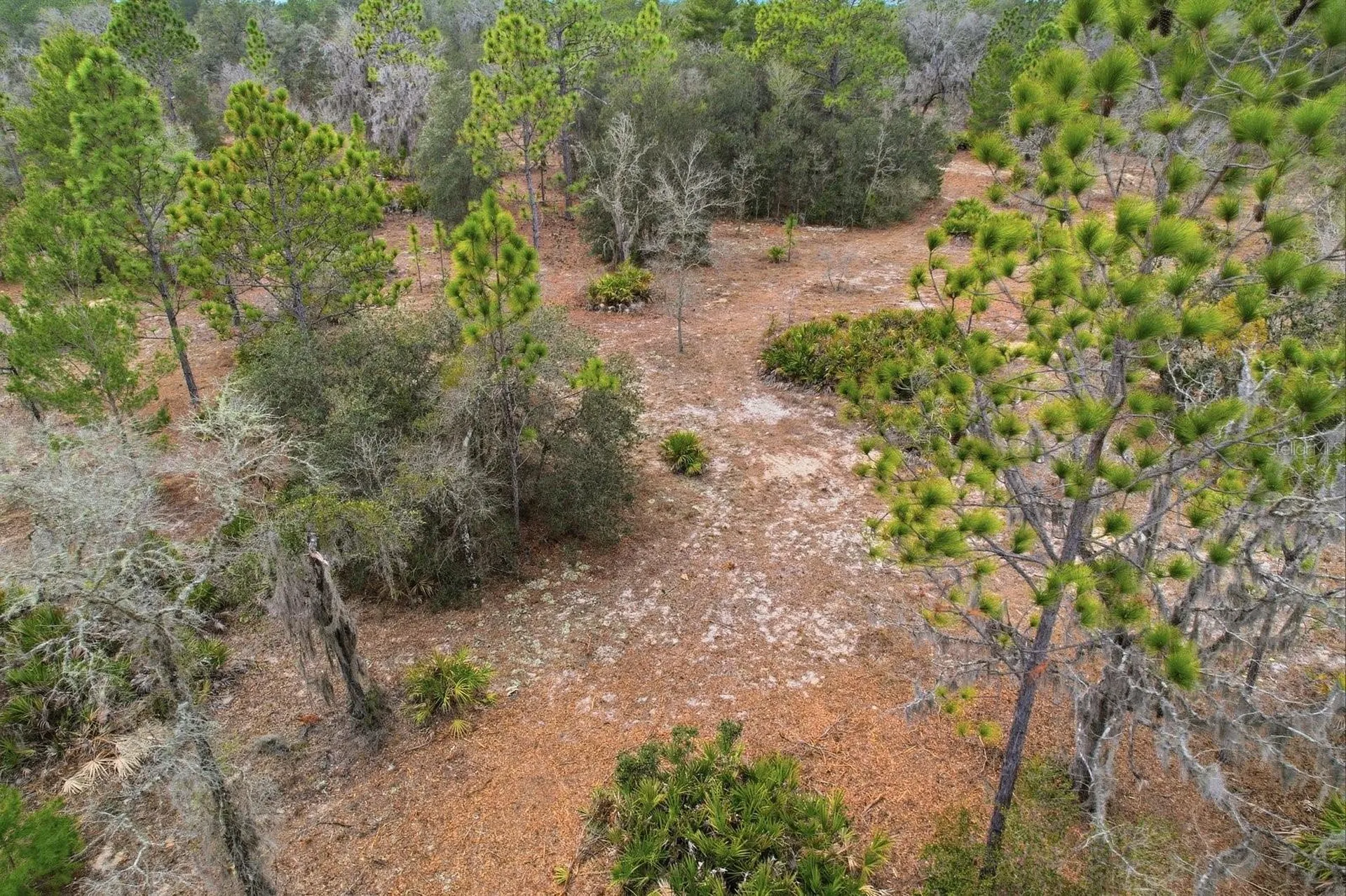 6199 W Peking Court Dunnellon FL 34433