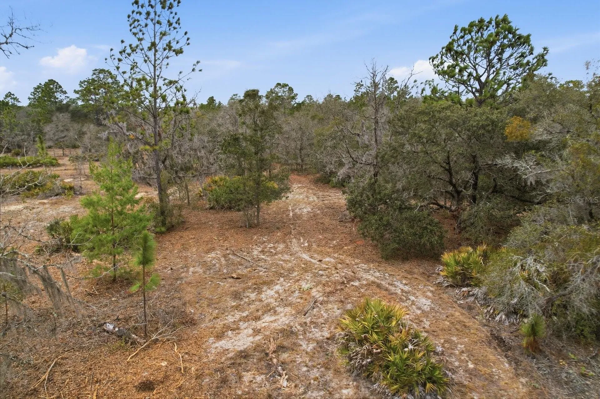 6199 W Peking Court Dunnellon FL 34433