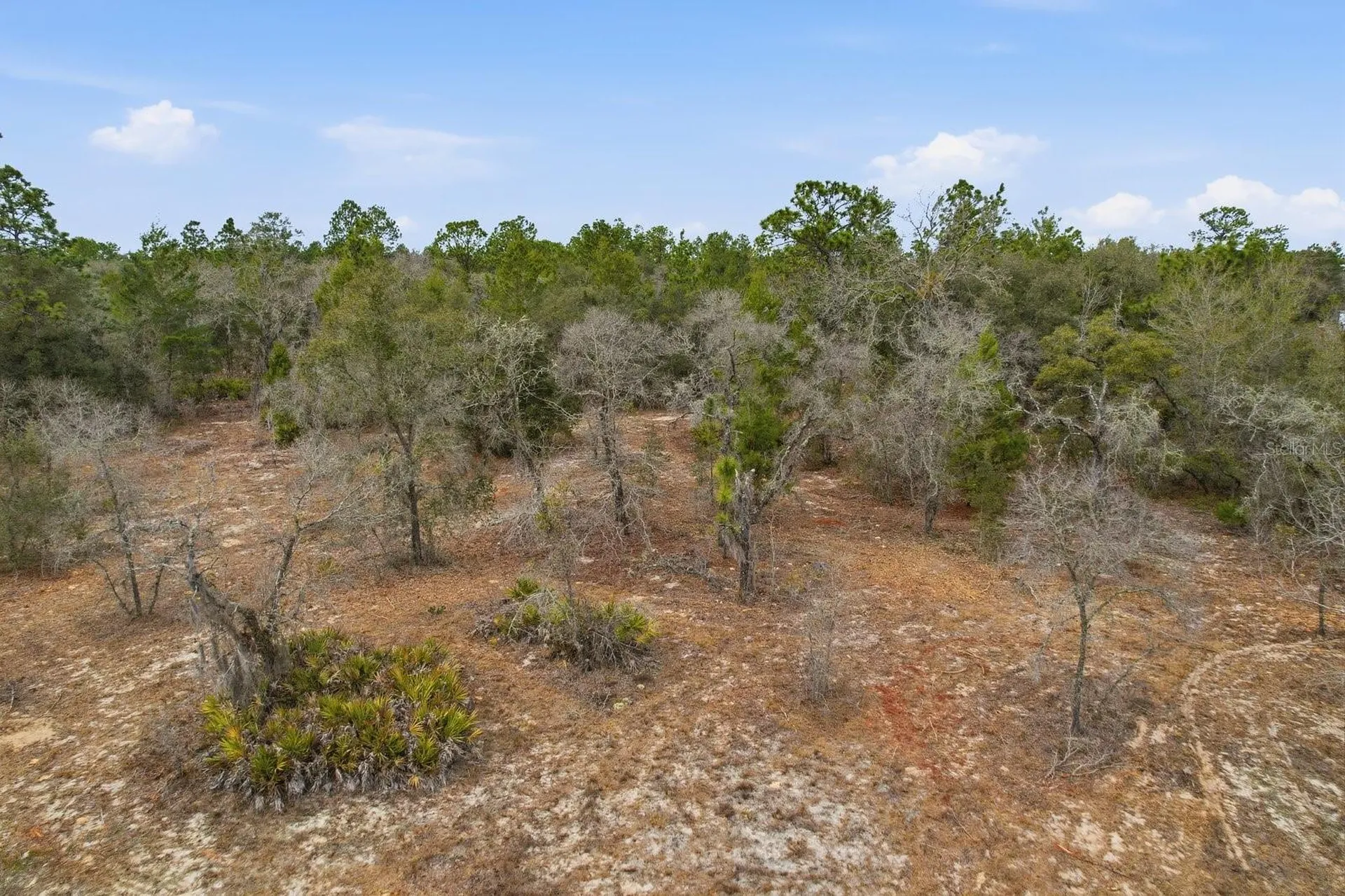 6199 W Peking Court Dunnellon FL 34433