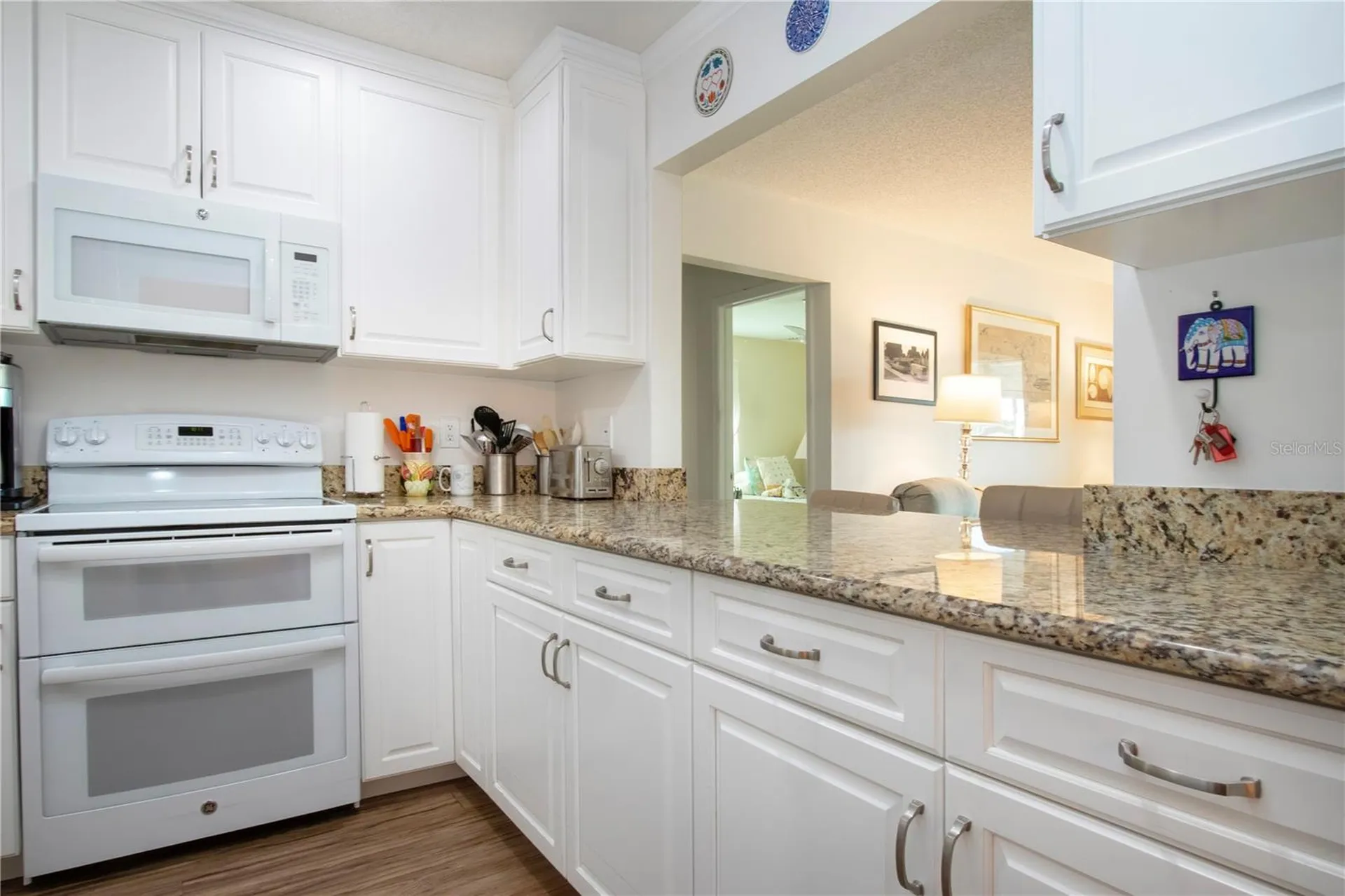 203 Austin Hill Court Sun City Center FL 33573