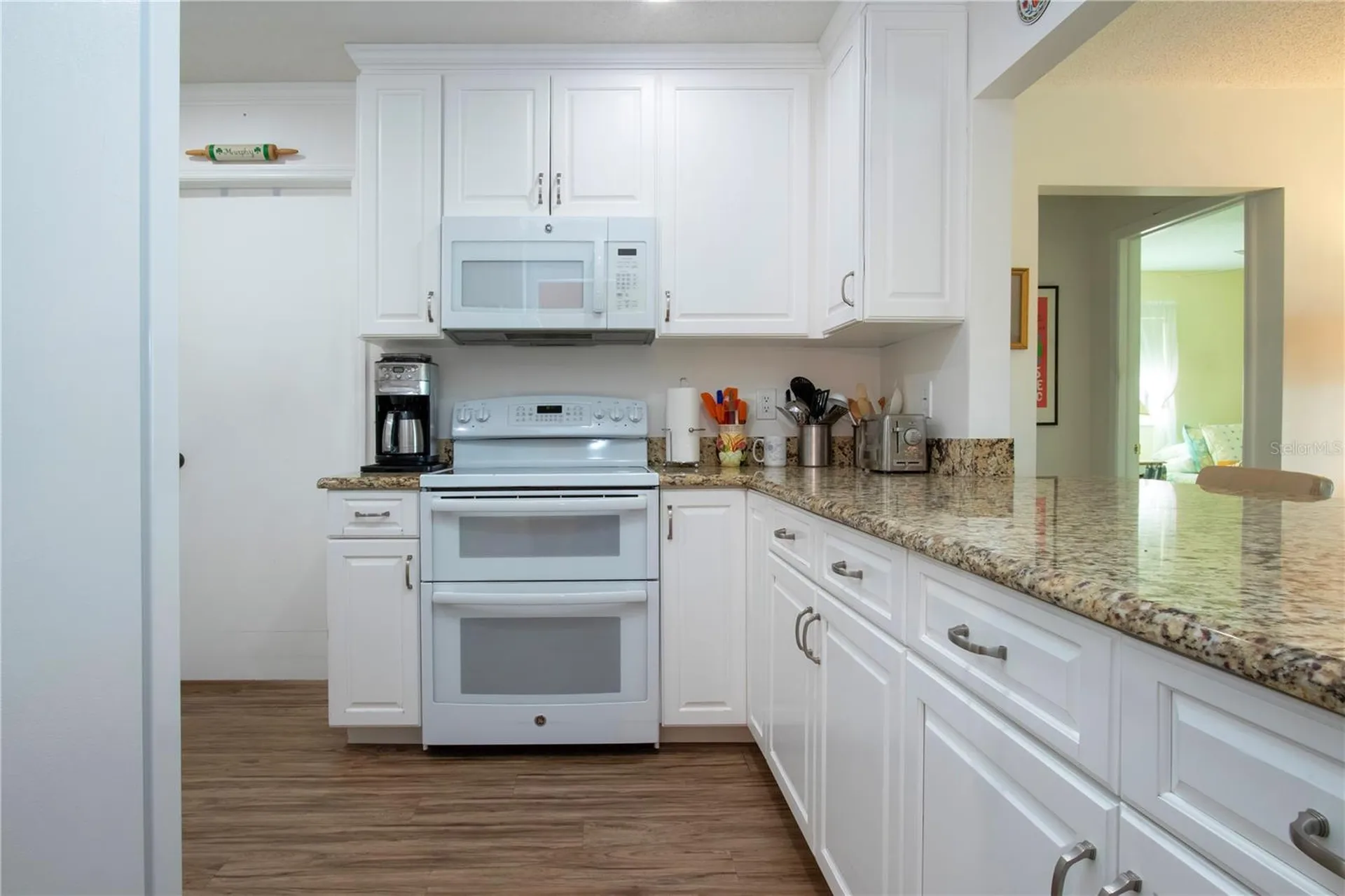 203 Austin Hill Court Sun City Center FL 33573