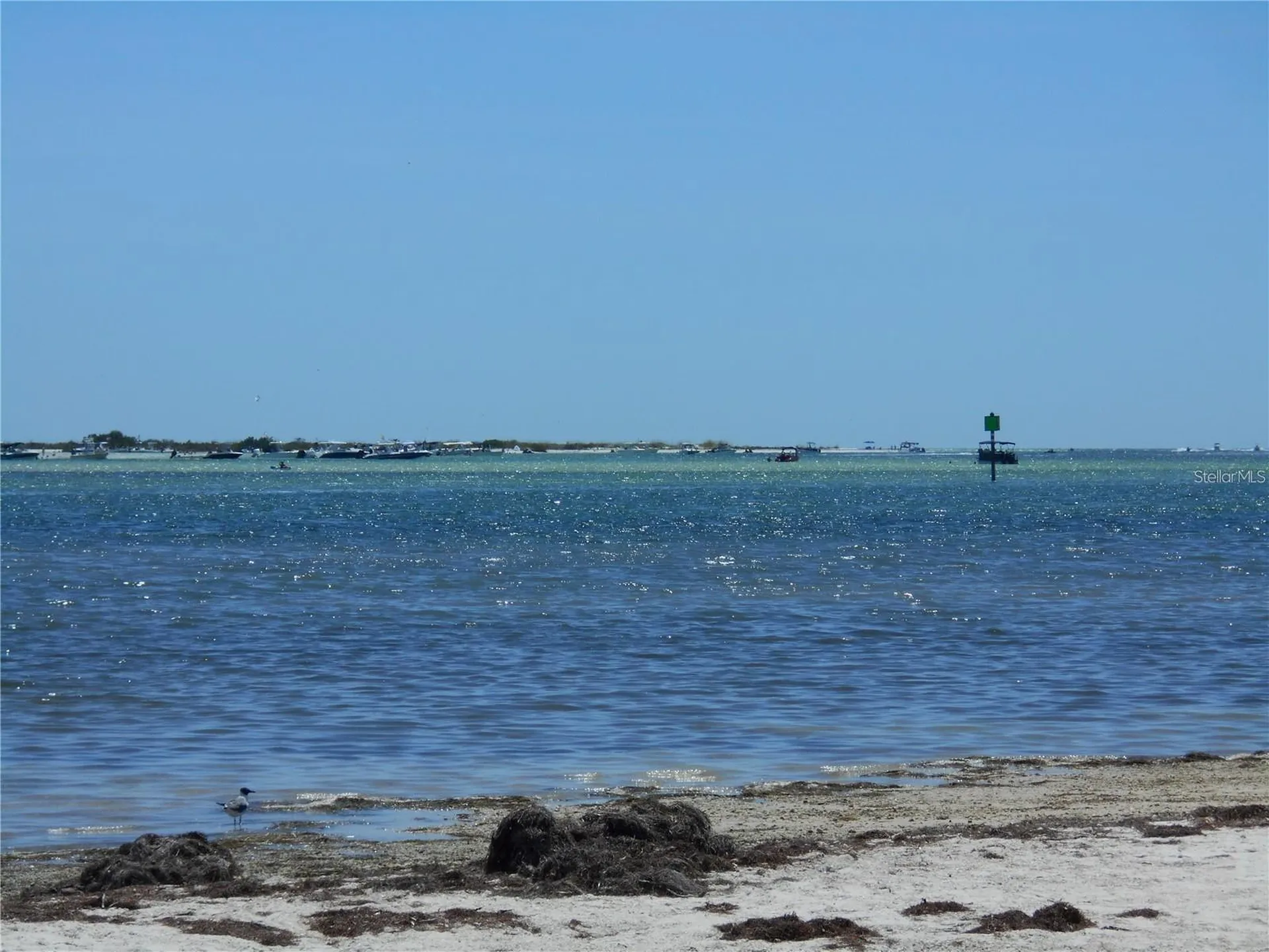 2700 Bayshore Boulevard Dunedin FL 34698