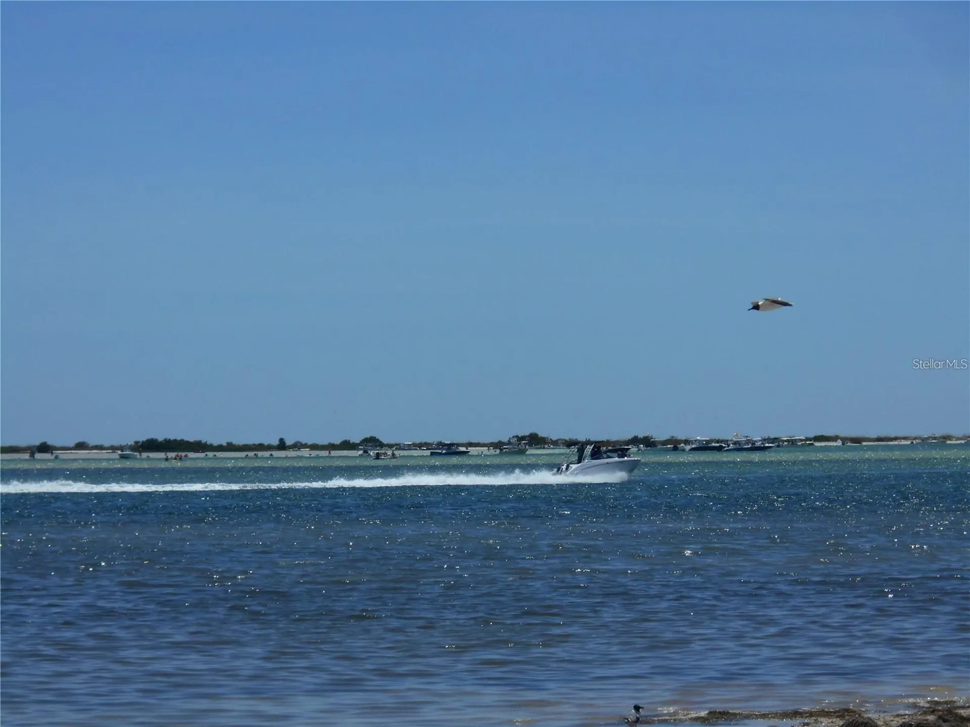 2700 Bayshore Boulevard Dunedin FL 34698