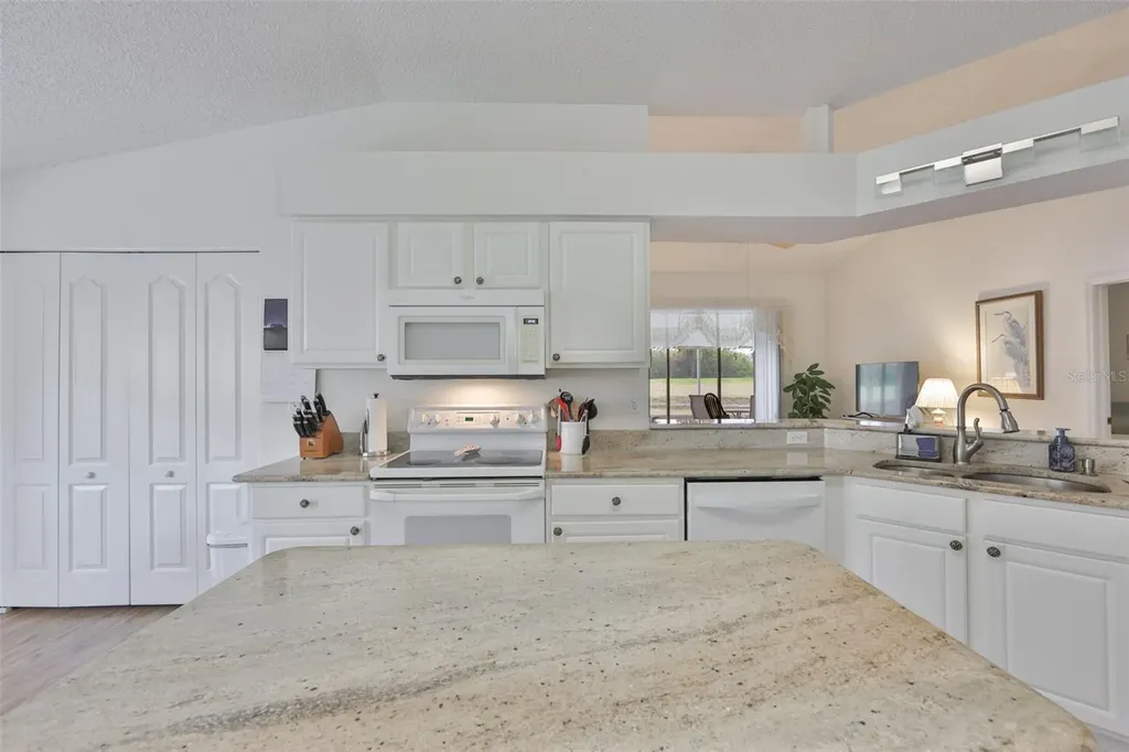 917 Villeroy Greens Drive Sun City Center FL 33573