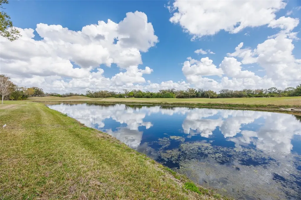 917 Villeroy Greens Drive Sun City Center FL 33573