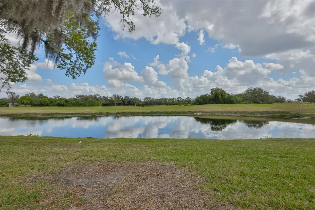 917 Villeroy Greens Drive Sun City Center FL 33573