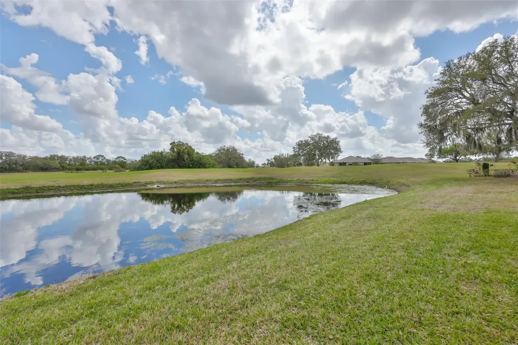 917 Villeroy Greens Drive Sun City Center FL 33573