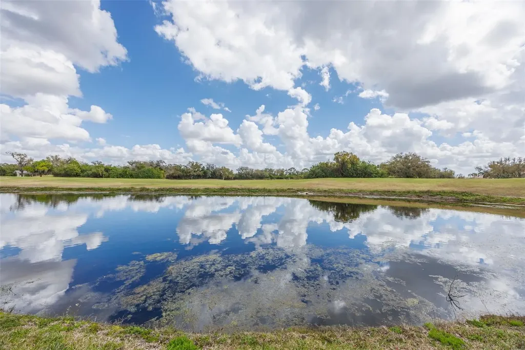 917 Villeroy Greens Drive Sun City Center FL 33573