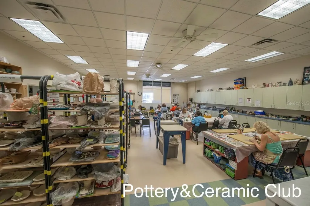 917 Villeroy Greens Drive Sun City Center FL 33573