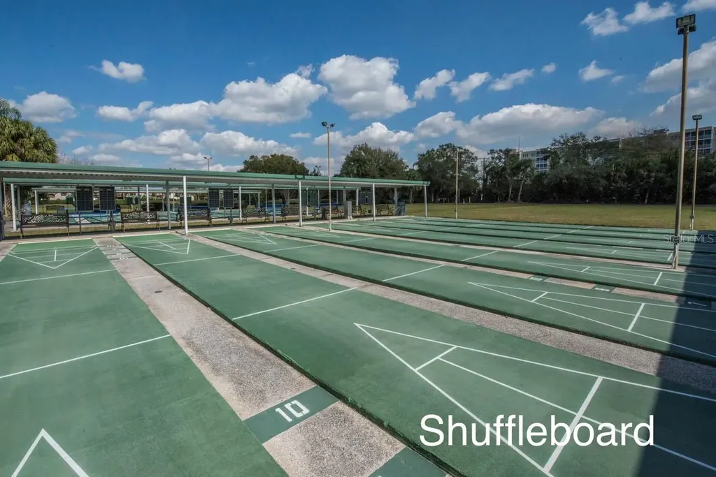 917 Villeroy Greens Drive Sun City Center FL 33573