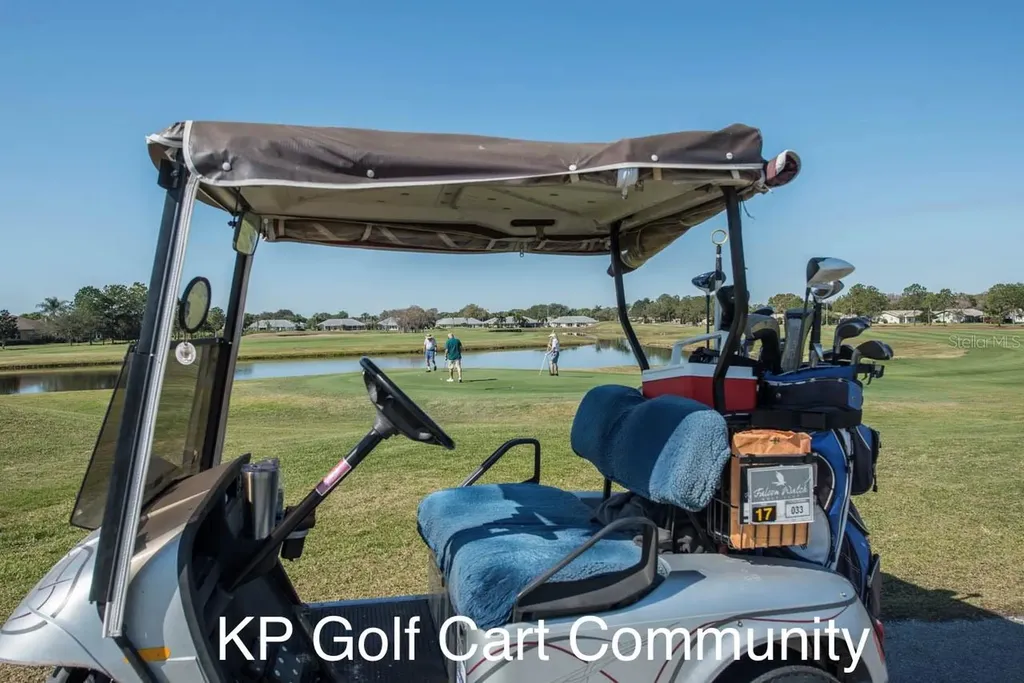 917 Villeroy Greens Drive Sun City Center FL 33573