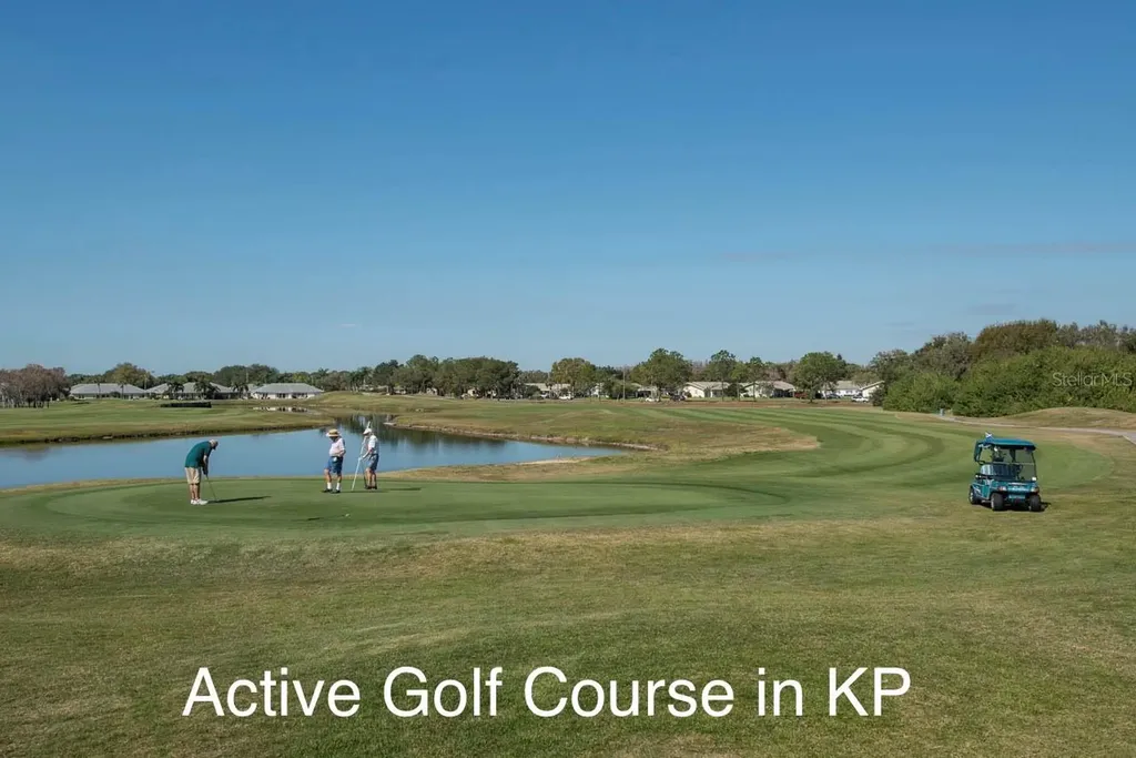 917 Villeroy Greens Drive Sun City Center FL 33573