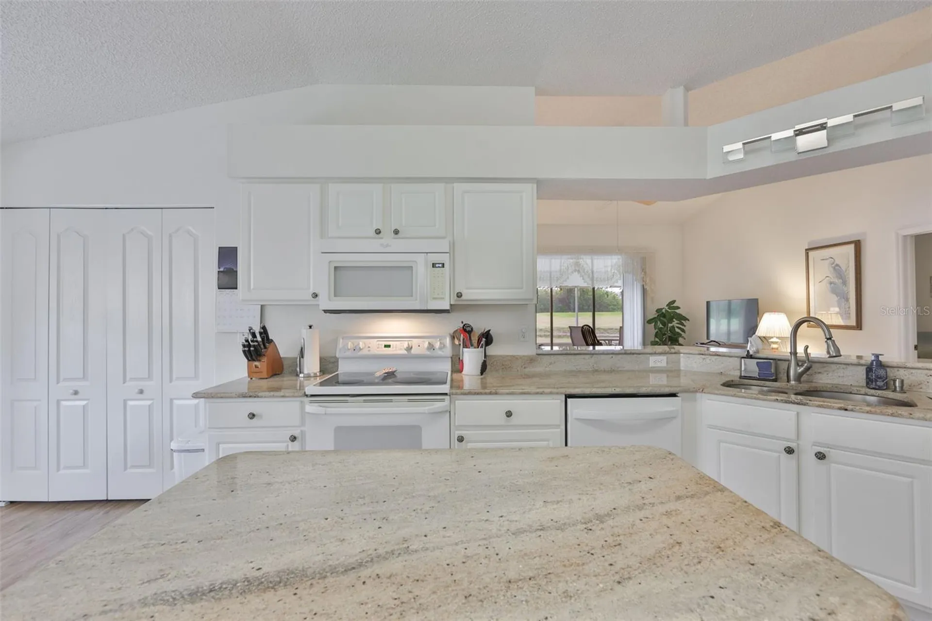 917 Villeroy Greens Drive Sun City Center FL 33573