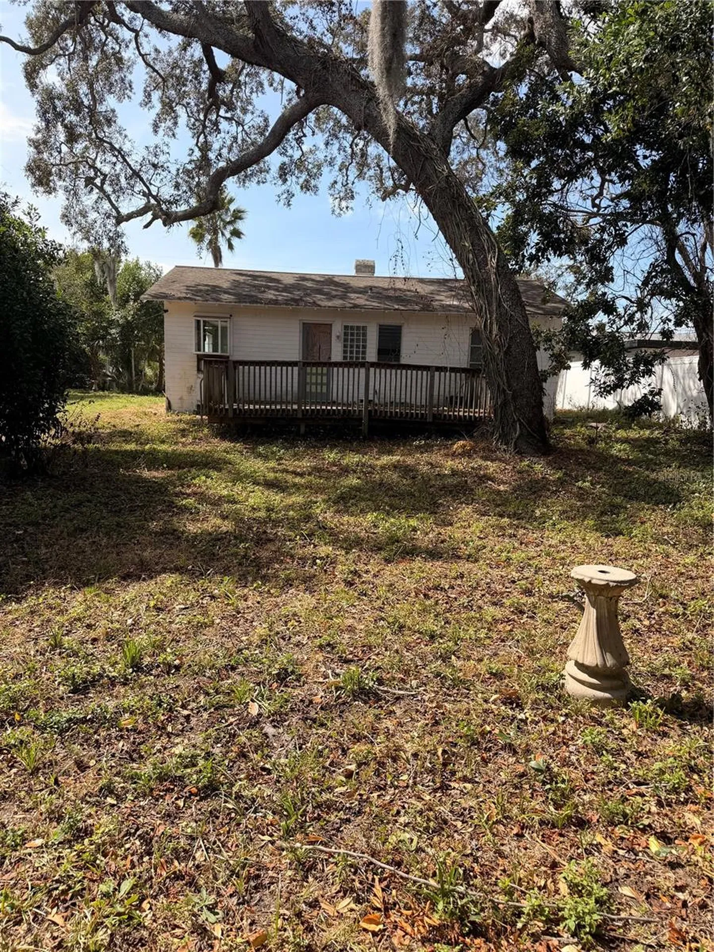 1129 Holly Avenue Daytona Beach FL 32117