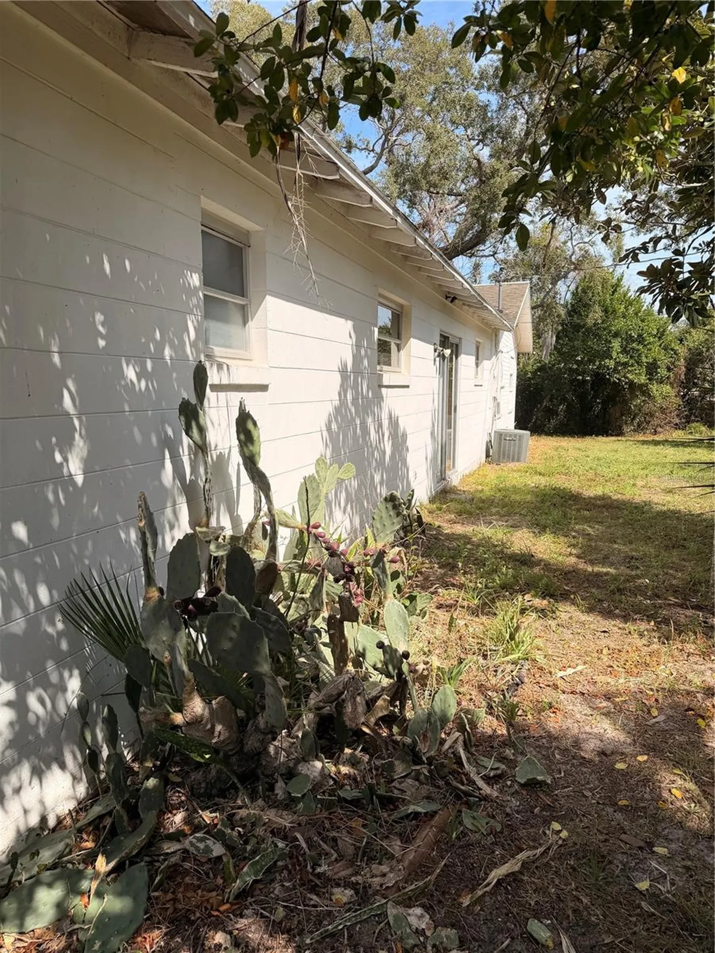 1129 Holly Avenue Daytona Beach FL 32117