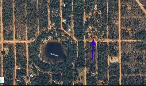 1402 Twin Lakes Boulevard Interlachen FL 32148