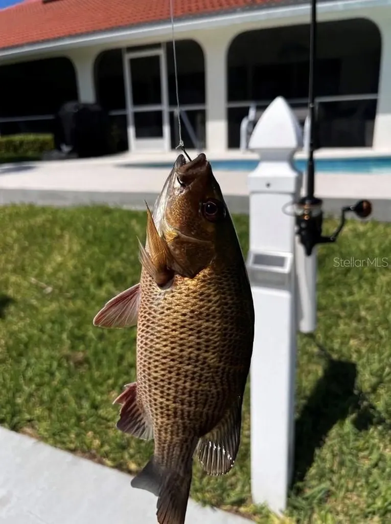 918 Messina Drive Punta Gorda FL 33950