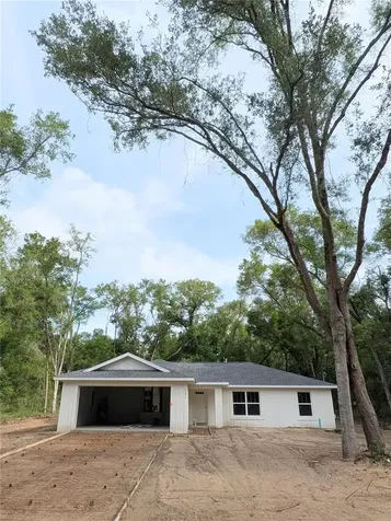 411 W Eridani Court Citrus Springs FL 34434