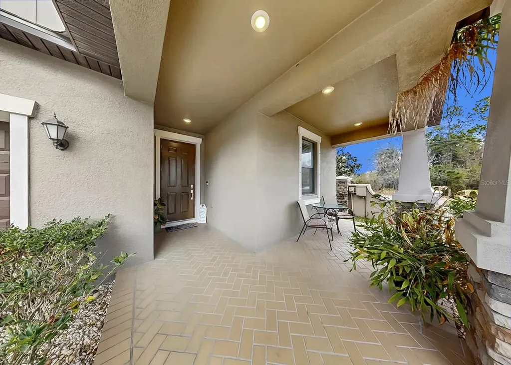 12203 Ballentrae Forest Drive Riverview FL 33579