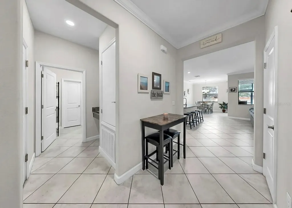 12203 Ballentrae Forest Drive Riverview FL 33579