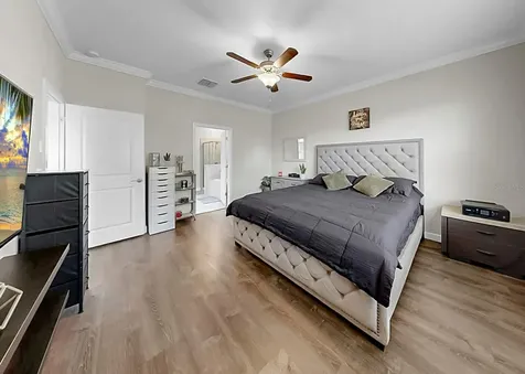 12203 Ballentrae Forest Drive Riverview FL 33579