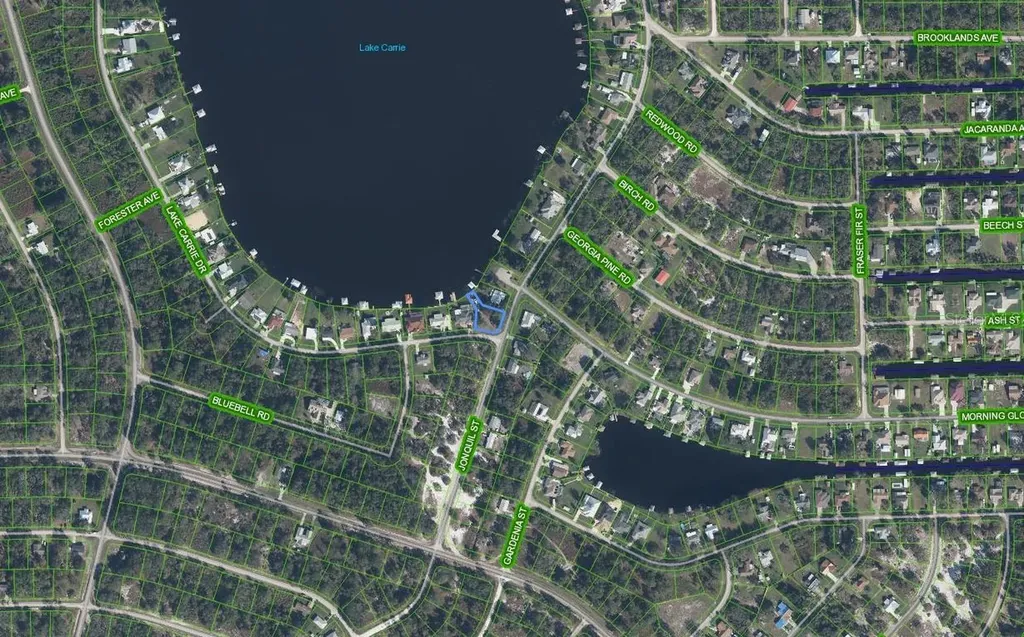 1018 Jonquil Street Lake Placid FL 33852