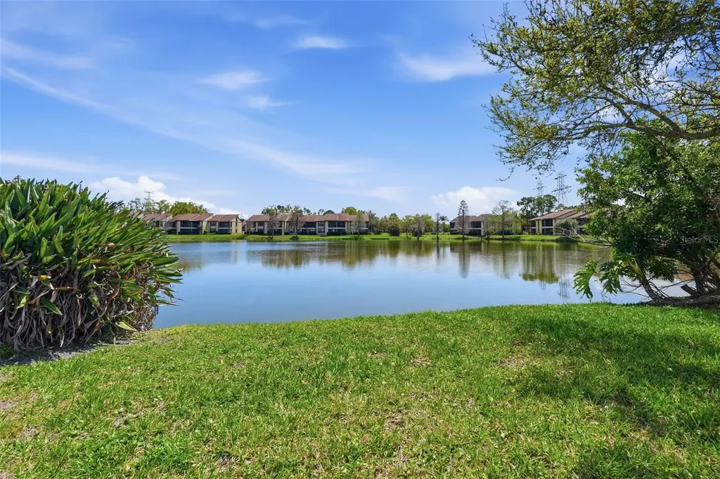 240 Cypress Lane Oldsmar FL 34677