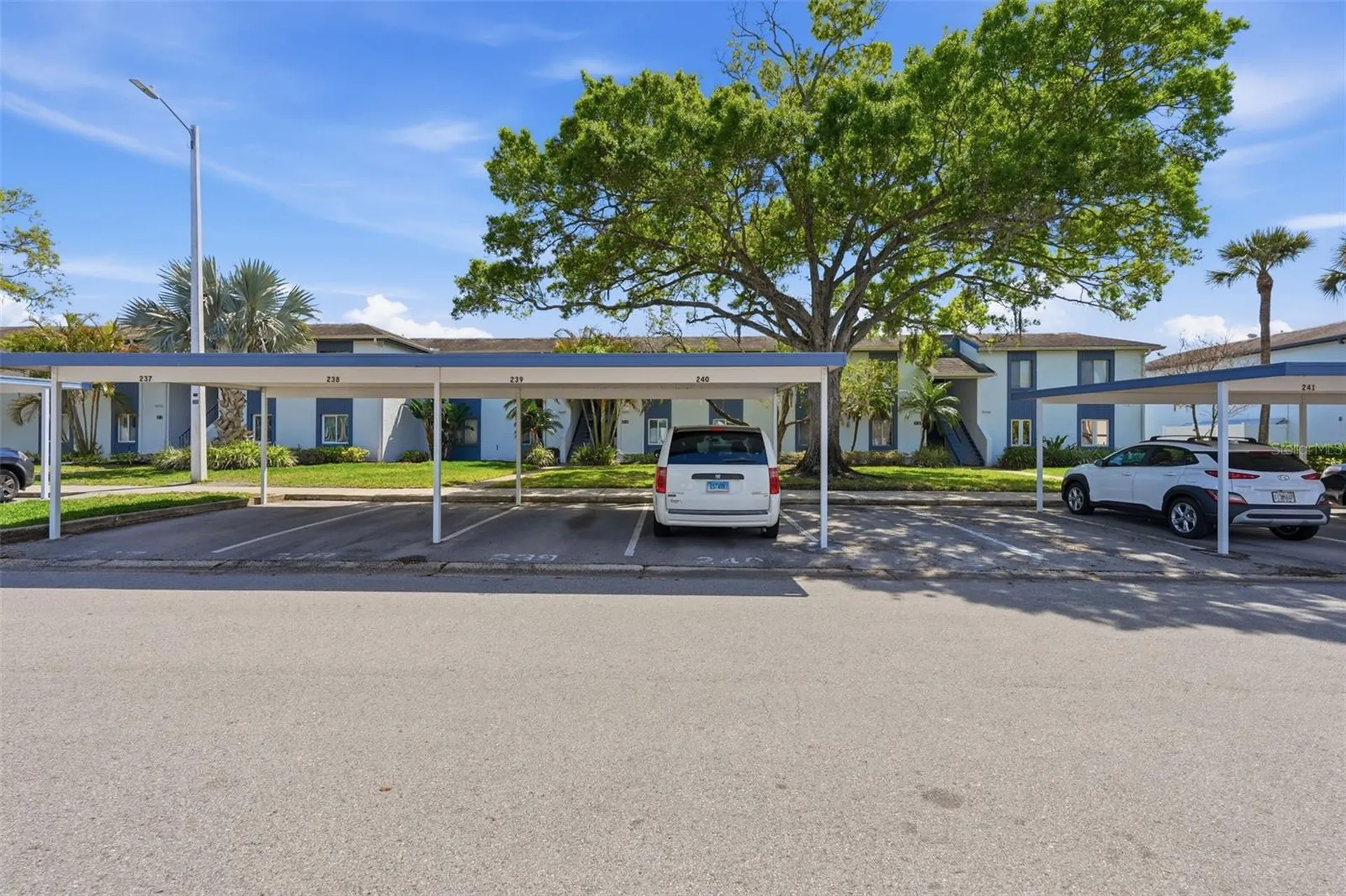 240 Cypress Lane Oldsmar FL 34677