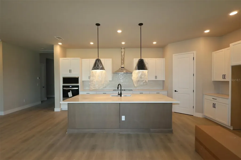 31351 Westbury Estates Avenue Wesley Chapel FL 33545