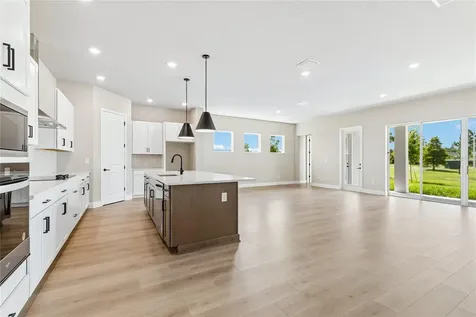 31351 Westbury Estates Avenue Wesley Chapel FL 33545