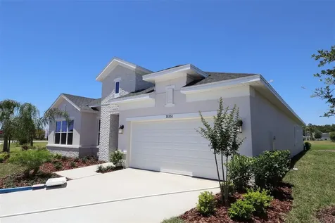 31351 Westbury Estates Avenue Wesley Chapel FL 33545