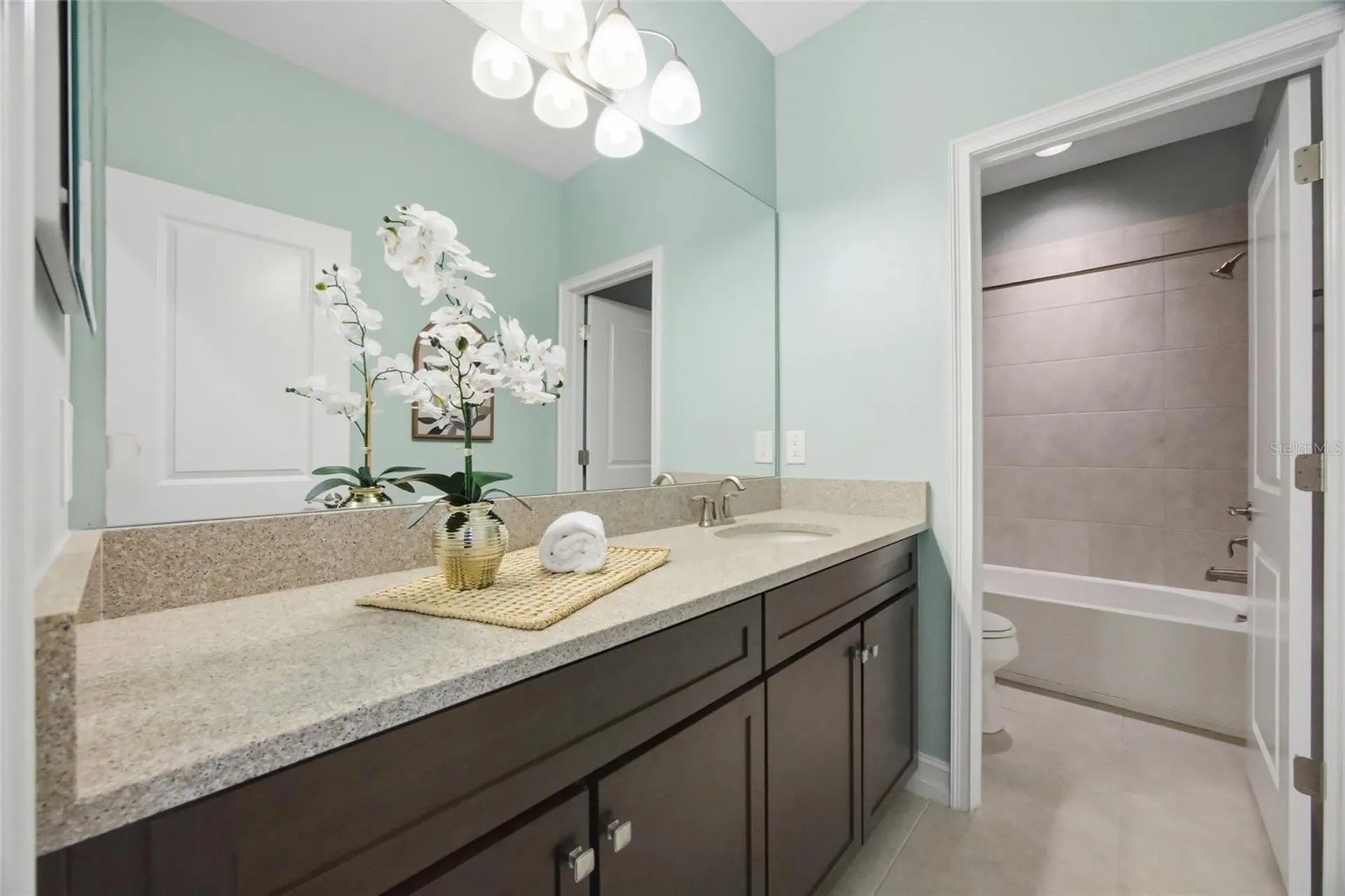 3608 Shadow Arbor Way Lutz FL 33548