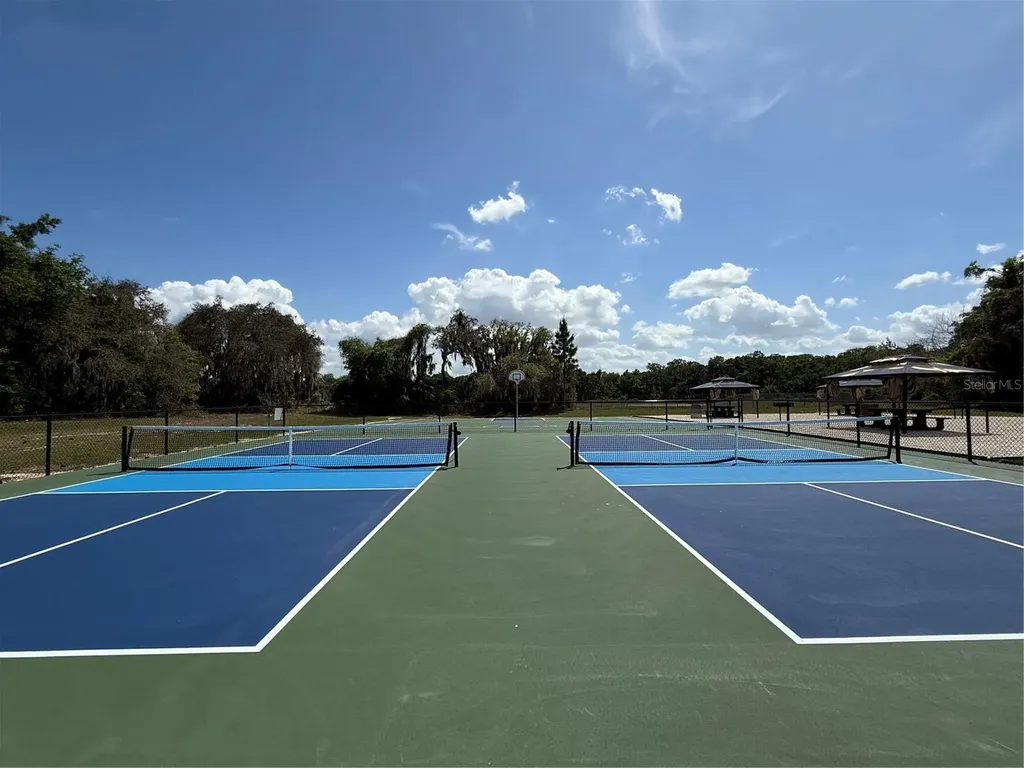 15203 Sandalwood Drive Wildwood FL 34785