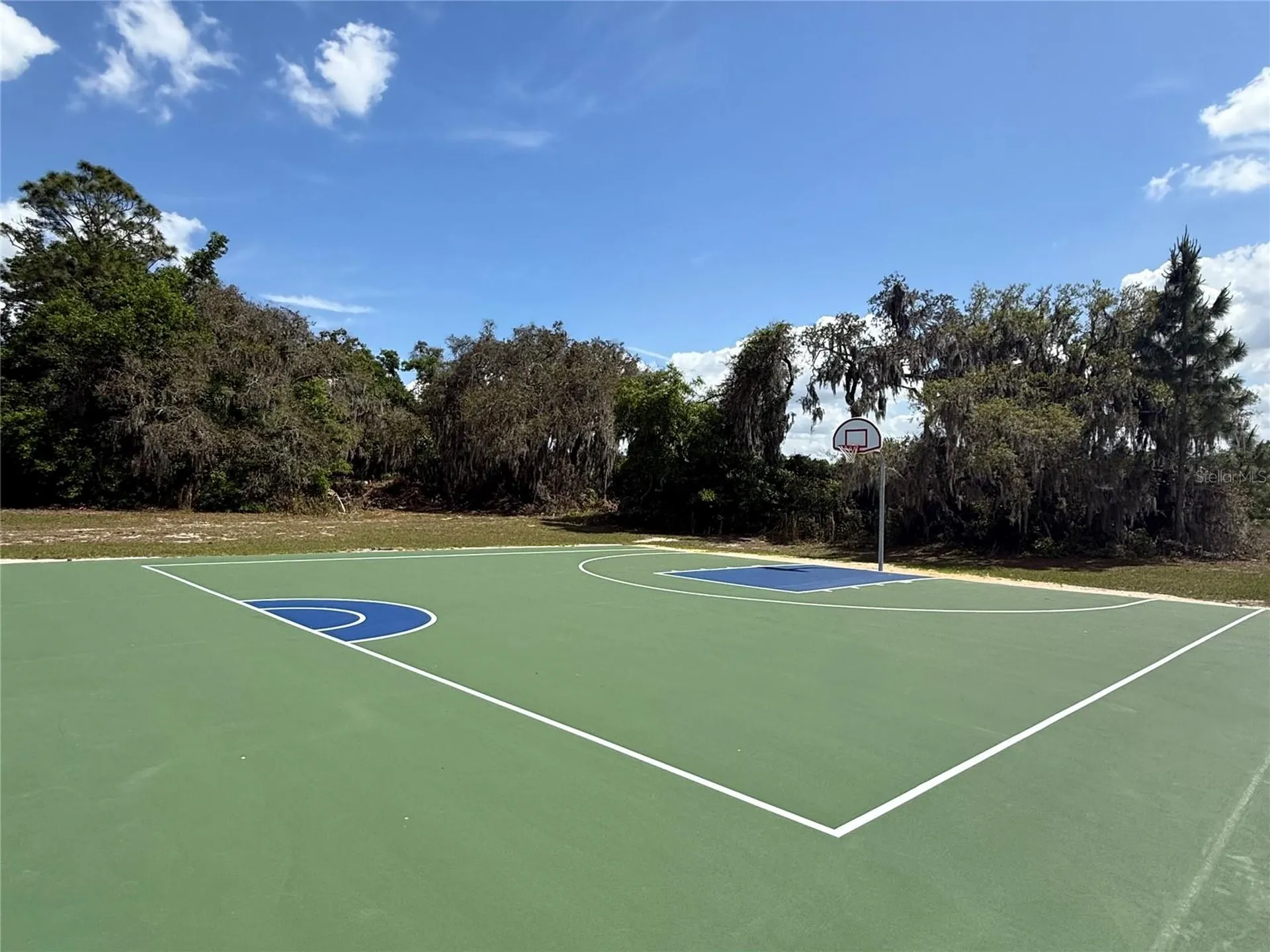 15203 Sandalwood Drive Wildwood FL 34785