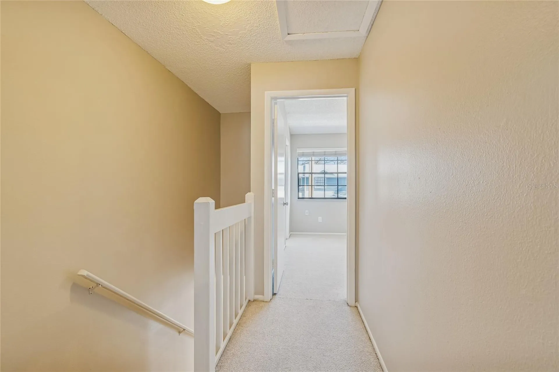 12568 Castle Hill Drive Tampa FL 33624