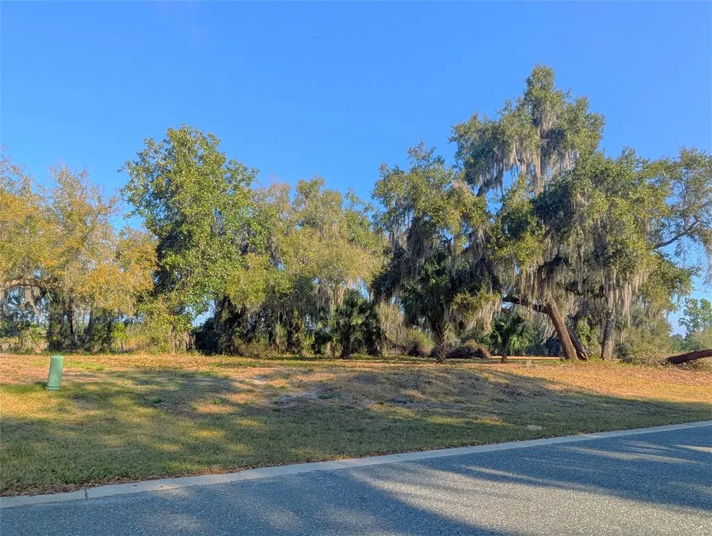 446 Long And Winding Road Howey In The Hills FL 34737
