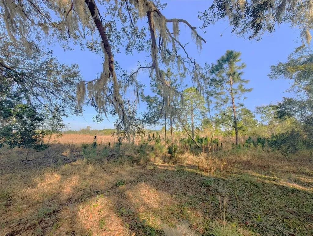 446 Long And Winding Road Howey In The Hills FL 34737