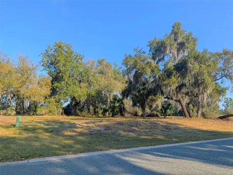 446 Long And Winding Road Howey In The Hills FL 34737