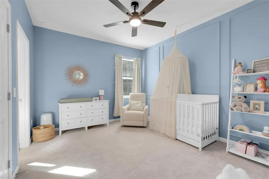 2385 Sirena Lane Mount Dora FL 32757