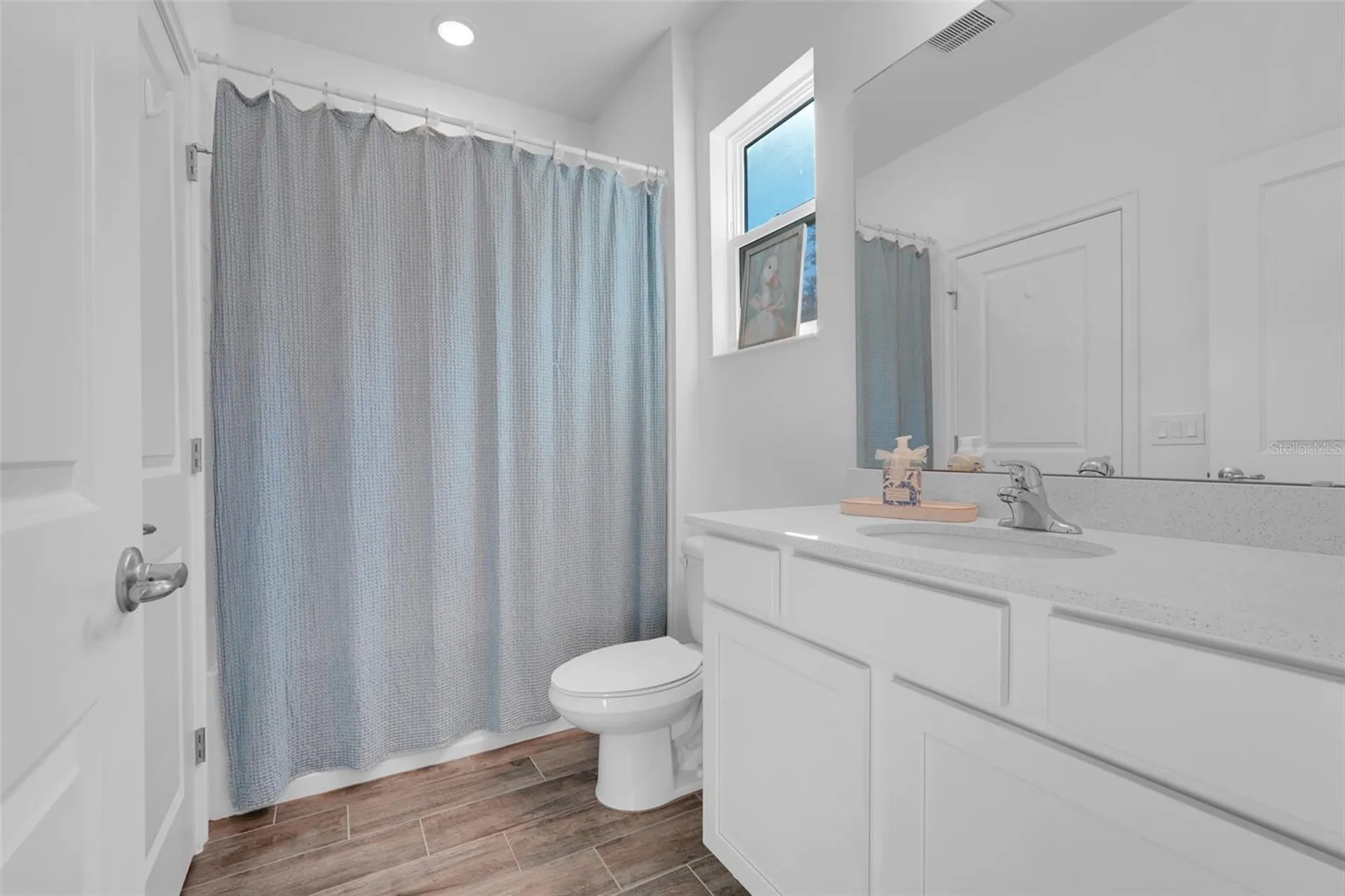 2385 Sirena Lane Mount Dora FL 32757