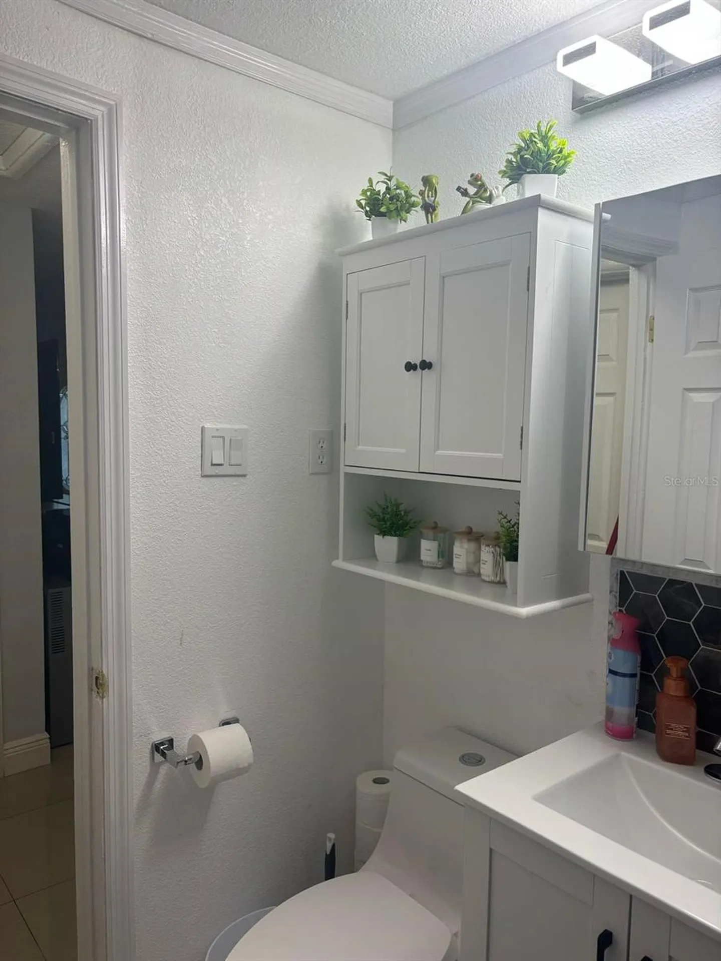 6005 W Clifton Street Tampa FL 33634