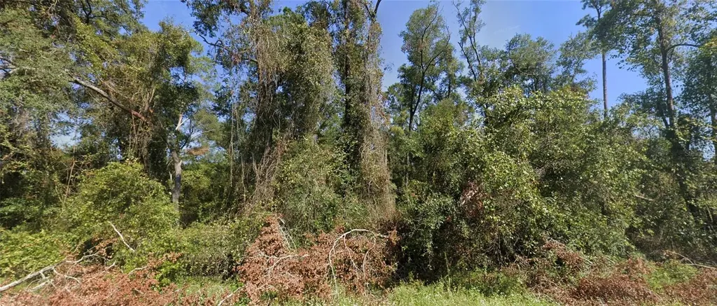 Tbd NW Suwannee Valley Road Lake City FL 32055
