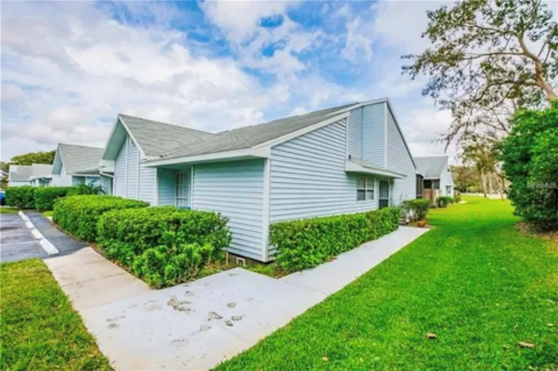 16101 Rambling Vine Drive E Tampa FL 33624