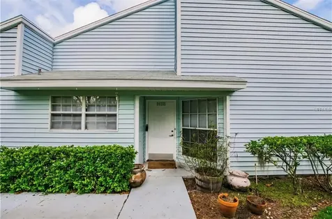 16101 Rambling Vine Drive E Tampa FL 33624