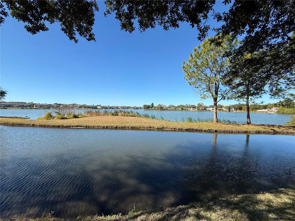 12042 Lake Allen Drive Largo FL 33773