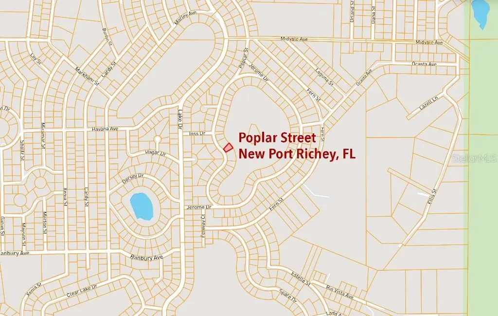 36 Poplar Street New Port Richey FL 34654