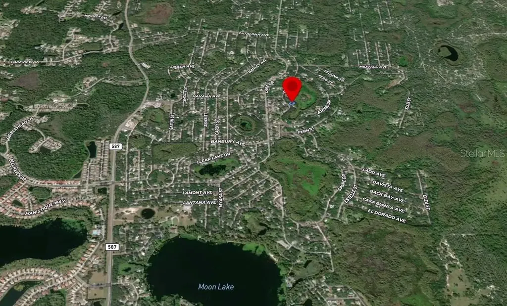 36 Poplar Street New Port Richey FL 34654