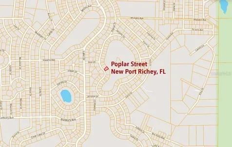 36 Poplar Street New Port Richey FL 34654