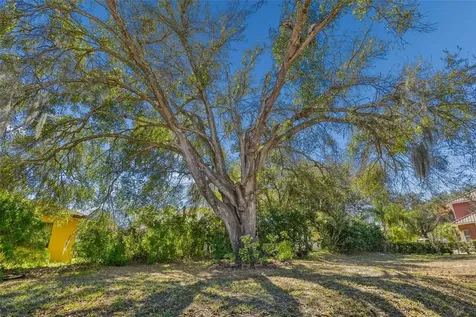 614 Vintage Way Brandon FL 33511