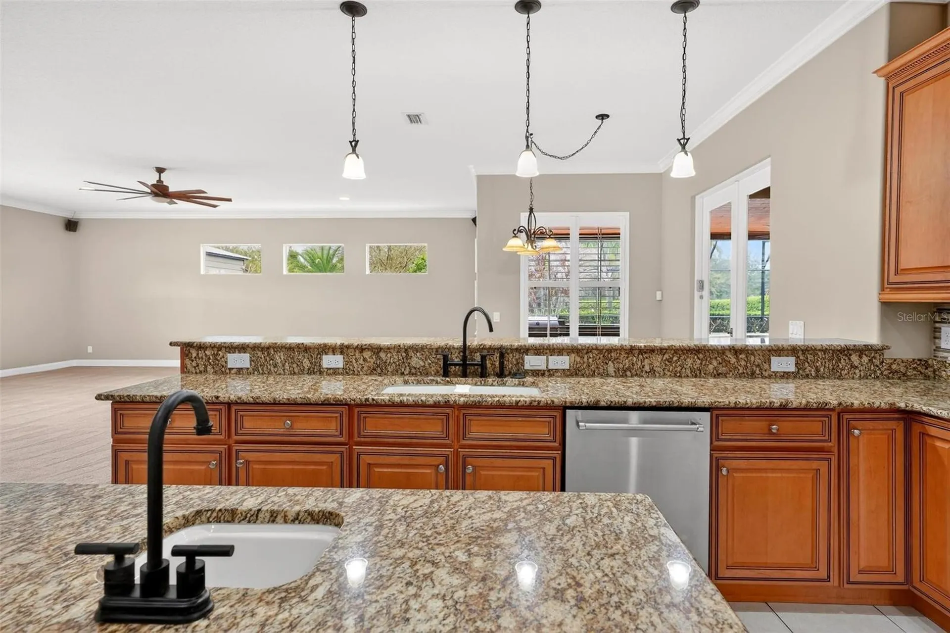 4520 Claire Rose Court Mount Dora FL 32757